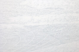 Close-up of the lower-right detail of Alien Landscape, a hand-drawn mountain landscape by Jurgis Gečys, 2021–2022