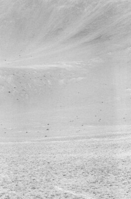 Alien Landscape, 2019. Black-and-white analogue photograph from The Inceptive Ground, texture volume 01, showing an abstract, almost featureless terrain with subtle tonal shifts, scattered stones and barely visible ground structures.