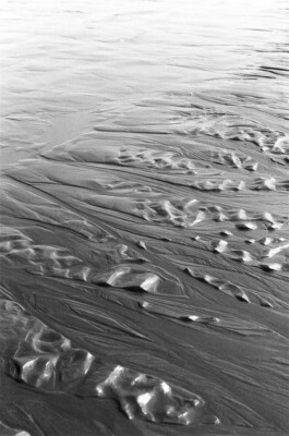Tierra del Fuego Shore, 2019. Black-and-white analogue photograph showing a windswept shore with layered, flowing surface formations shaped across the ground.