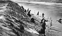 Workers planting vegetation on the protective coastal dune ridge of the Curonian Spit in the early 20th century