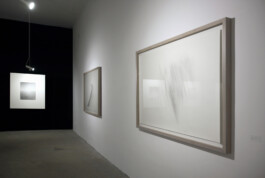 Three framed monochrome artworks displayed in the Between Man & Nature exhibition at POST Gallery, Kaunas, 2018