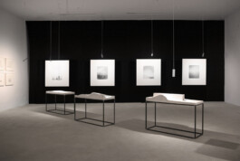 Sculptural works in front of four black-and-white silver gelatin prints in the Between Man & Nature exhibition at POST Gallery, Kaunas, 2018