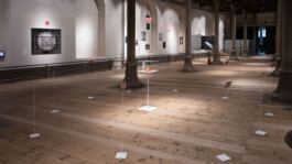 Installation view of Unexposed, 2021, by Jurgis Gečys at the Zeitgeist main exhibition, Rotlicht Festival 2023, Semperdepot, Vienna, showing photographic glass negatives on slender metal stands and their original box at the centre.