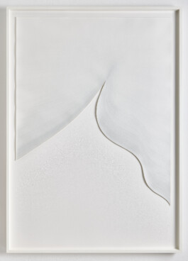 Between Memory and Perception, 2022 by Jurgis Gečys, a large framed hand drawing composed of delicate pointillist ink marks and stone elements, presented behind museum glass.