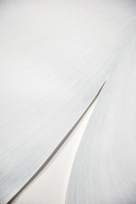 Detail of Between Memory and Perception, 2022 by Jurgis Gečys, showing an expansive field of fine pointillist ink drawing divided by a narrow curved opening between overlapping paper forms.