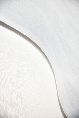 Detail of Between Memory and Perception, 2022 by Jurgis Gečys, showing a dense field of pointillist ink drawing alongside a curved overlapping paper form and subtle embossed surface.