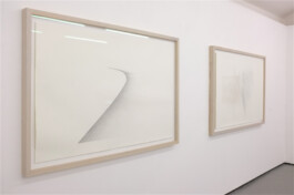 nstallation view of two large framed ink drawings by Jurgis Gečys: The Peninsula on the left and The Transition of Line on the right.