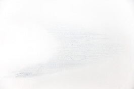 Large-scale abstract ink drawing from The Inceptive Ground series by Jurgis Gečys, composed of delicate blue-grey linear textures resembling geological formations, erosion patterns and an imagined topography on a white ground.
