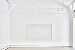 The Alien Landscape, 2022, hand drawing in ink on paper, installed at Bildraum 01, Vienna, as part of The Inceptive Ground, texture volume 01.