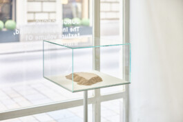 Detail view of One Stone, 2022, by Jurgis Gečys, displayed in a glass case at Bildraum 01, Vienna.