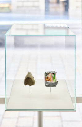 Detail view of Artifact – Knorr Cube Bouillon, Evolution, 2019, by Jurgis Gečys, showing a flaked stone and commercial packaging displayed together in a glass case.