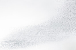 Detail view of The Inceptive Ground, Map, 2020 by Jurgis Gečys, showing fine blue-grey ink structures resembling eroded terrain, branching channels and geological formations emerging from and dissolving into the white surface.
