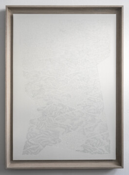 Framed artwork The Paths of River, 2025, by Jurgis Gečys. A large vertical hand drawing on paper composed of delicate pale grey lines, dense point-like markings and flowing abstract forms resembling branching river paths and shifting terrain.