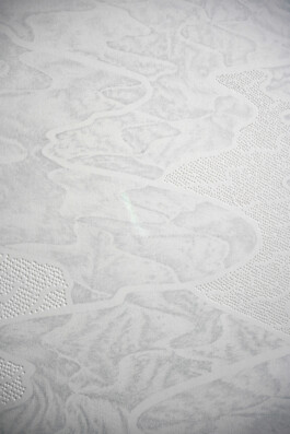 Detail view of The Paths of River, 2025, by Jurgis Gečys. Close-up of a hand drawing in pigment ink on paper showing extremely fine layered linework, winding channel-like forms and dense fields of perforated points across a pale abstract terrain.